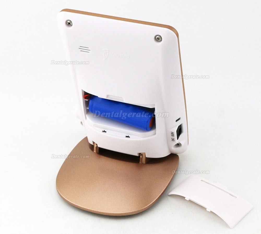 Woodpex III Dental Endodontie LCD Wurzelkanal Apexlokalisator mit goldenen Metallrahmen